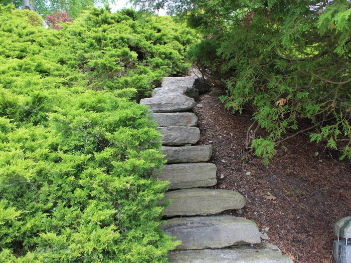 Natural stone steps and juniper planting by Spring ECO Construction