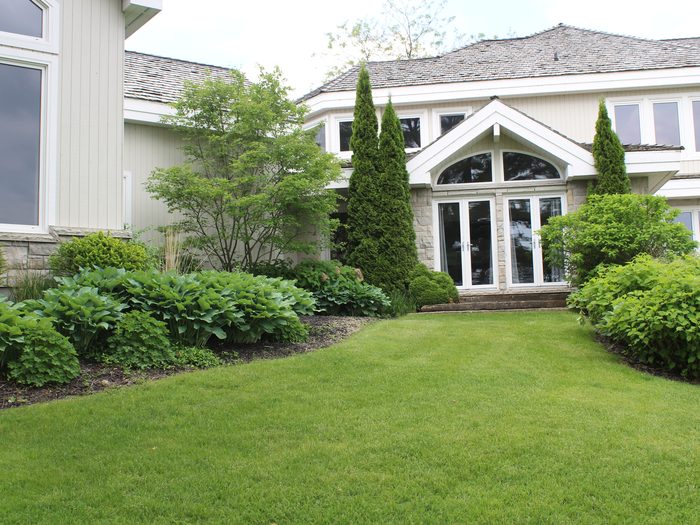 Residential planting with cedars and perennials by Spring ECO Construction