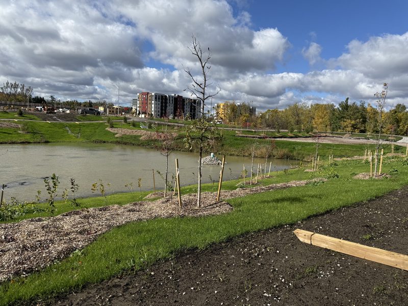Institutional and commercial landscape construction by Spring ECO Construction