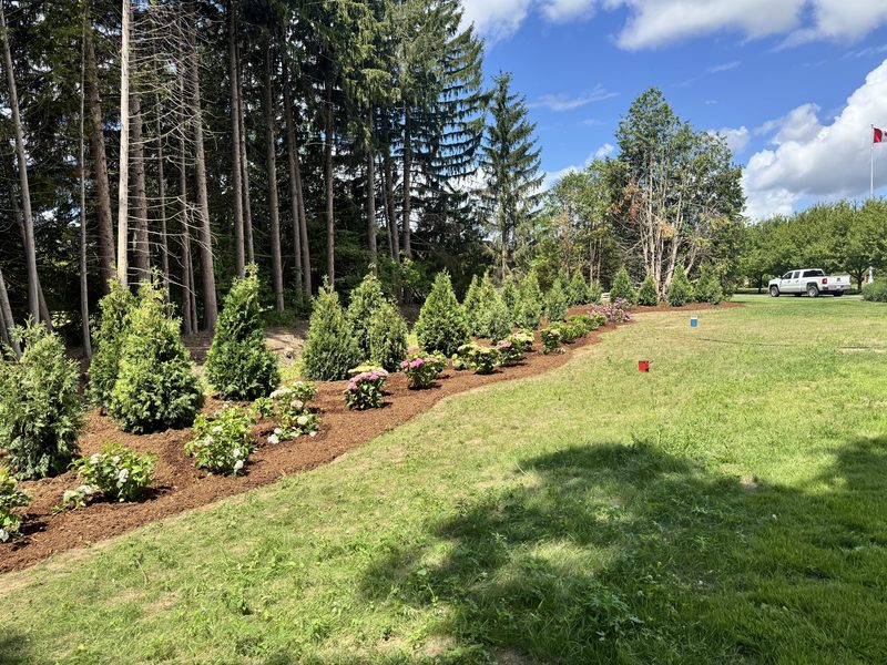 Planting and green infrastructure installation by Spring ECO Construction
