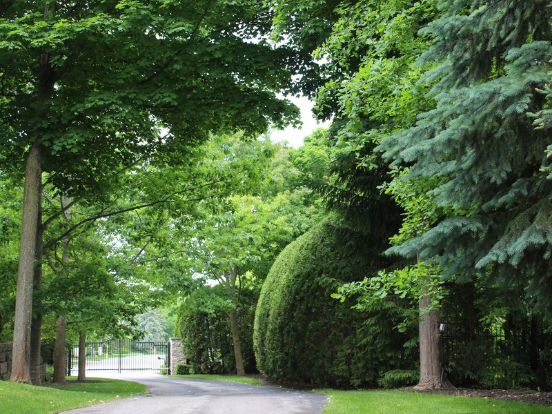 Residential and estate landscape construction by Spring ECO Construction